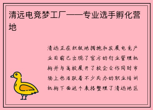 清远电竞梦工厂——专业选手孵化营地